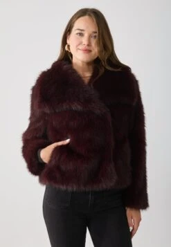 Anna Field Winter Jacket - Bordeaux